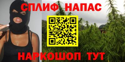 spice Сланцы