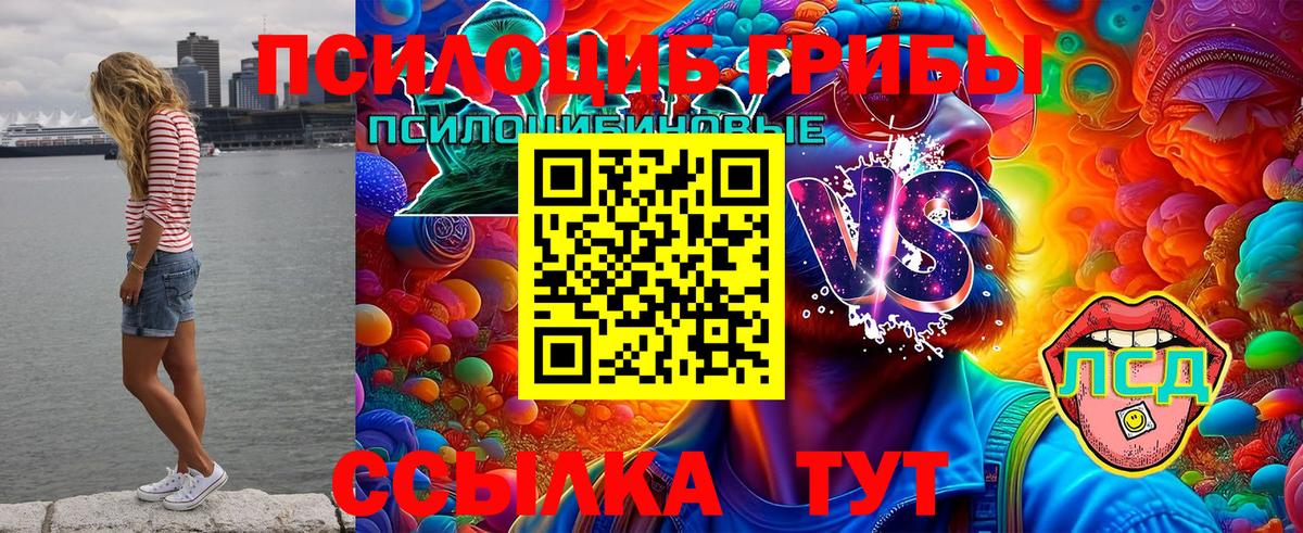 Псилоцибиновые грибы мухоморы Обнинск