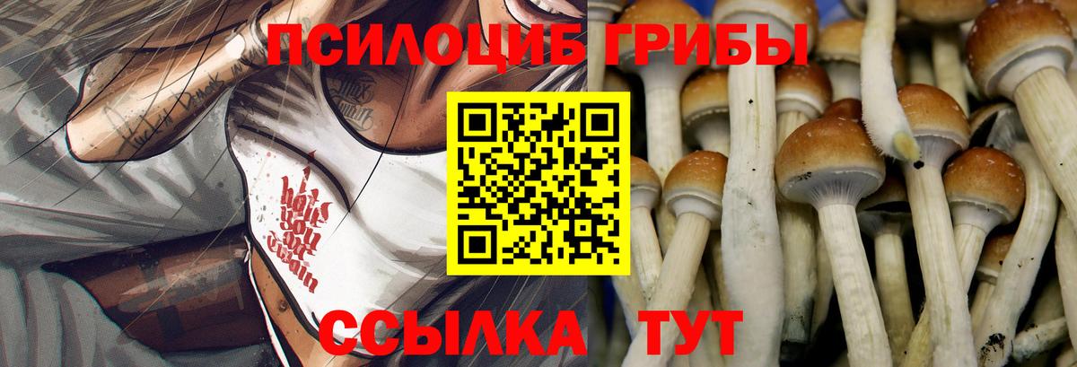 Обнинск  Галлюциногенные грибы MAGIC MUSHROOMS  Вход с VPN  цены   Псилоцибиновые грибы MAGIC MUSHROOMS 